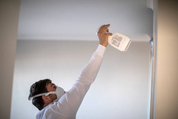 Best Commercial Mold Removal  in Cheltenham Village, PA